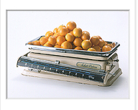 kitchen-scale28