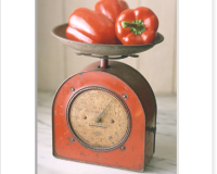 kitchen-scale5
