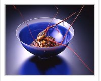 sea-food24