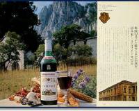 wine13